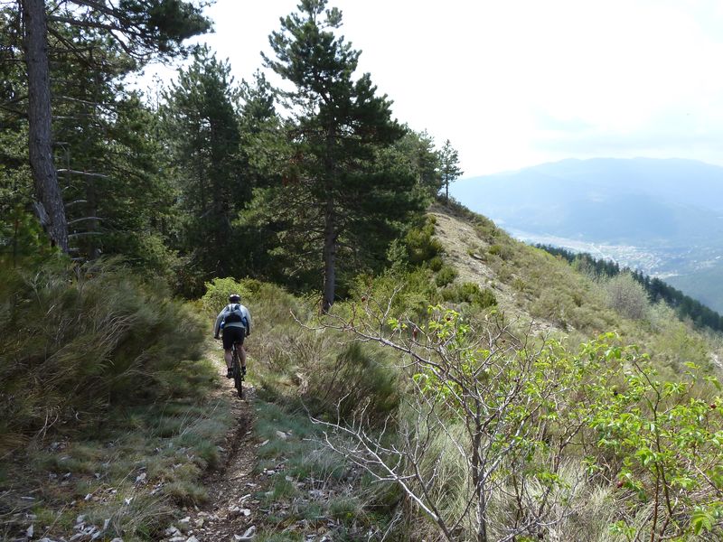 maurel_avril_2011_41.jpg