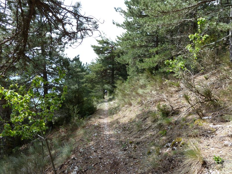 maurel_avril_2011_42.jpg