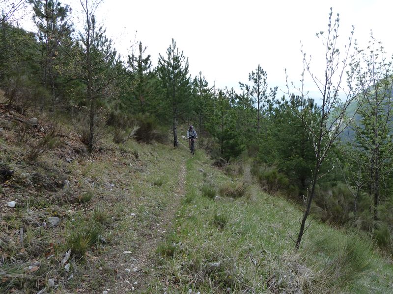 maurel_avril_2011_51.jpg