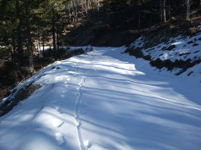 moustier_fev_2011_11.jpg