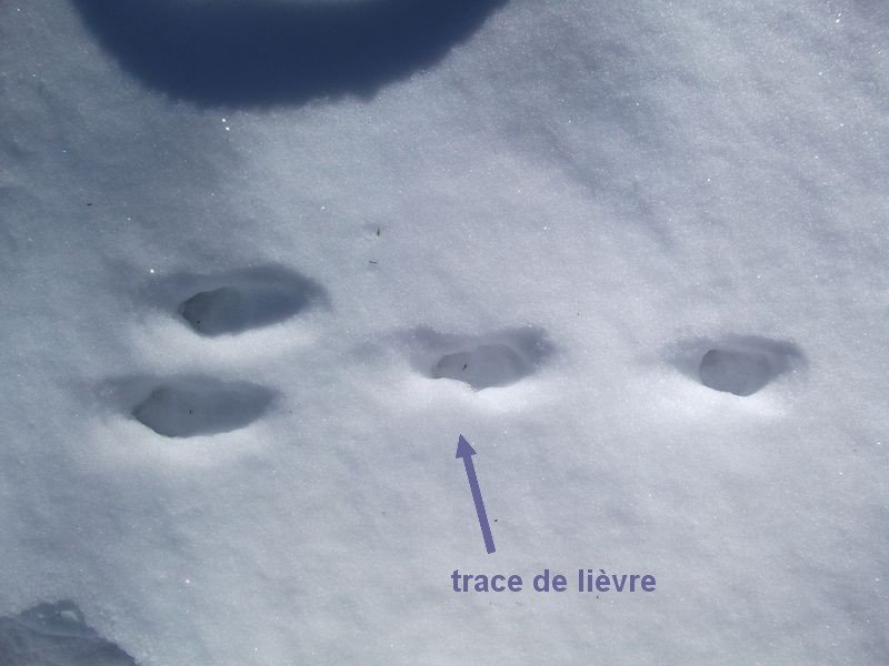 moustier_fev_2011_12.jpg