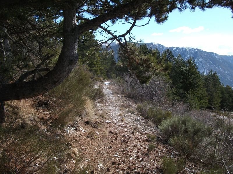 moustier_fev_2011_20.jpg