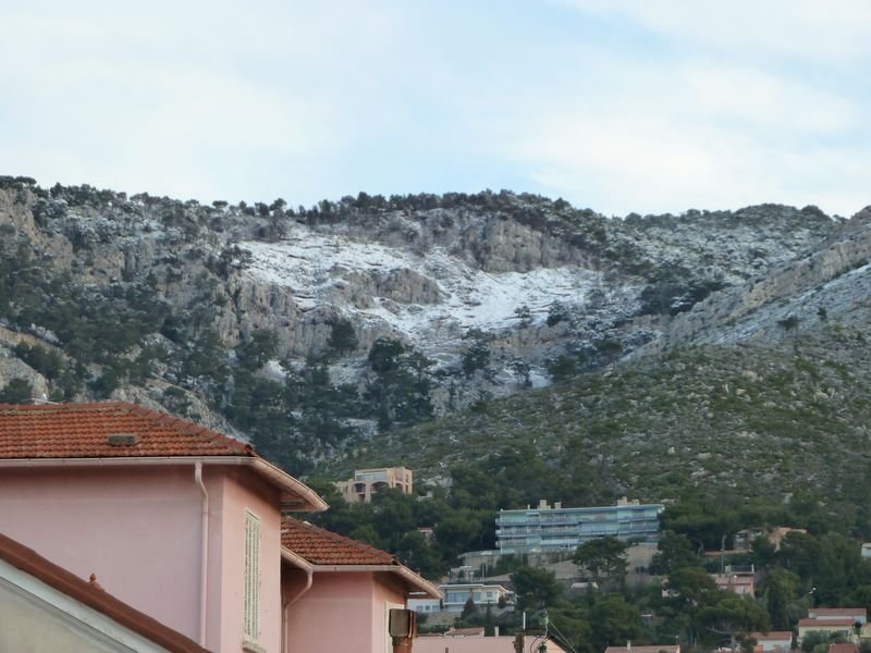 neige_janv_2011.jpg