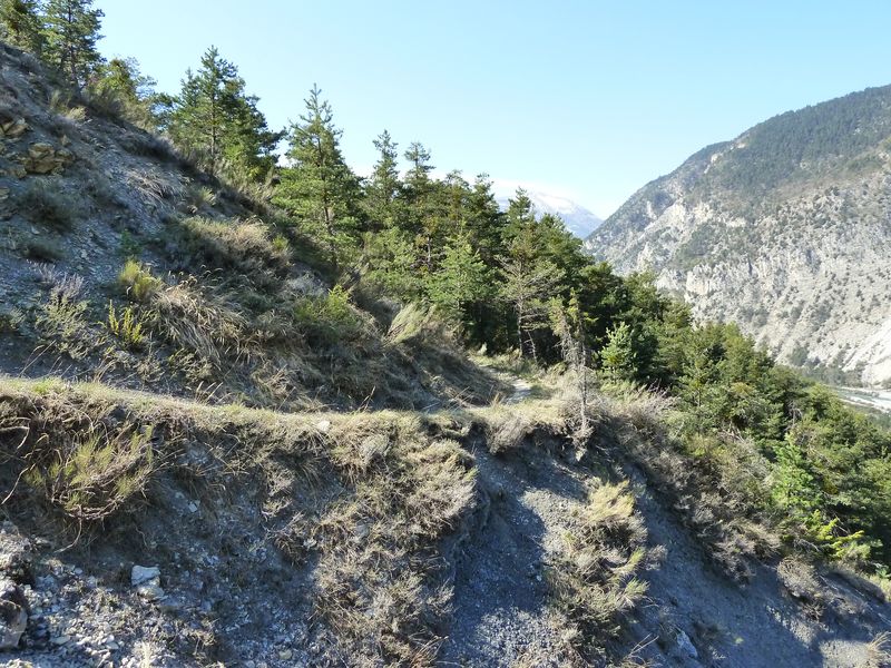 ondres_le_plan_avril_2011_20.jpg
