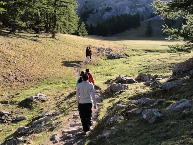 pelat_2010_15.jpg