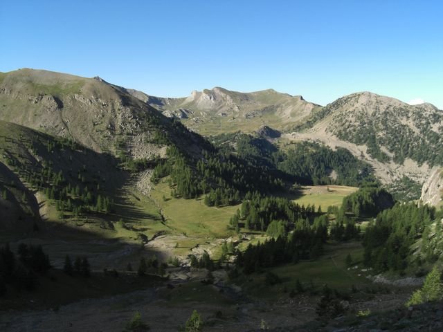 pelat_2010_cristou_11.jpg
