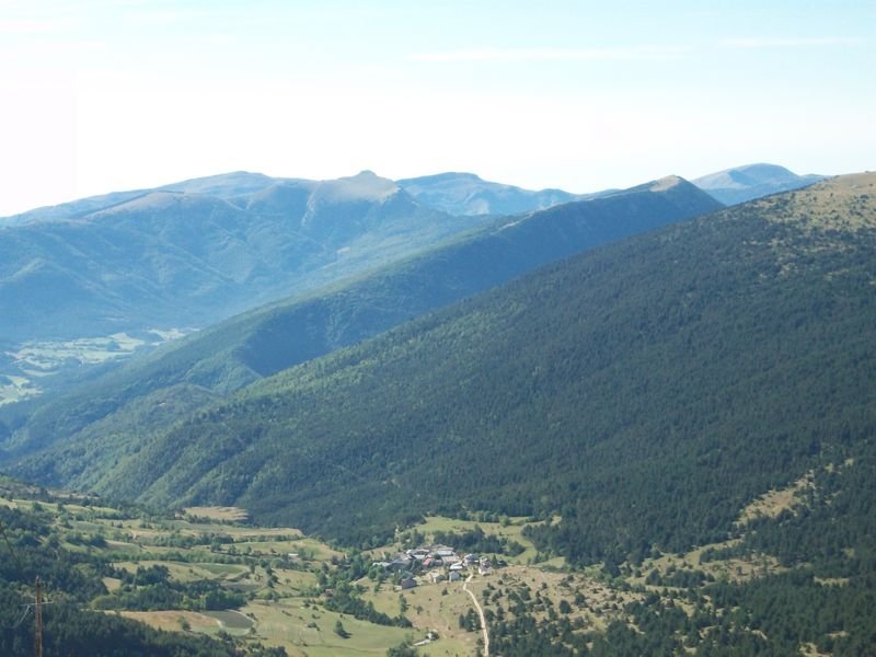petit_cordoeil_antenne_03.jpg