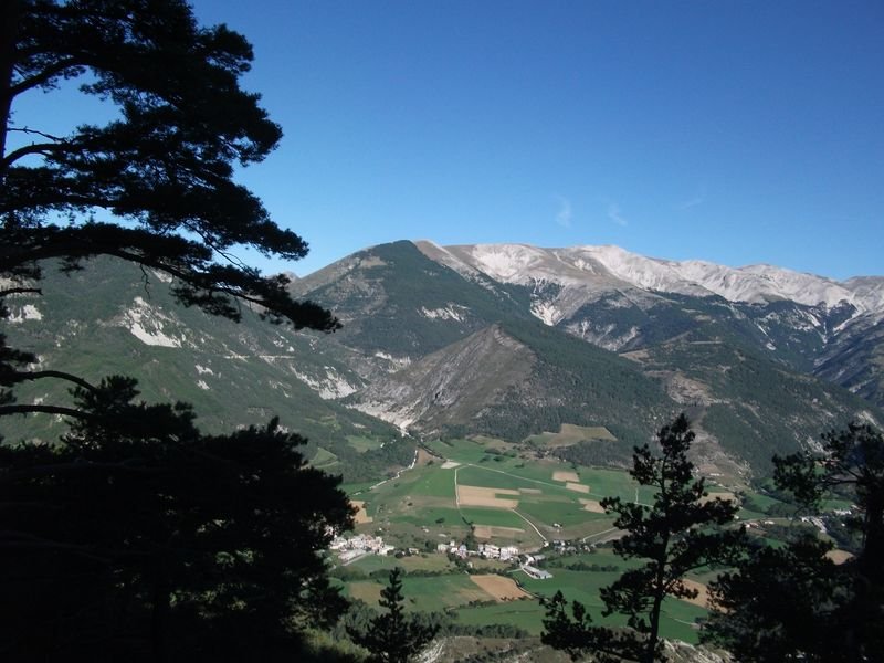 petit_cordoeil_antenne_12.jpg