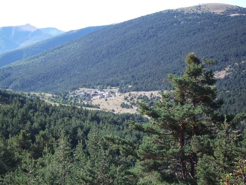 petit_cordoeil_antenne_18.jpg