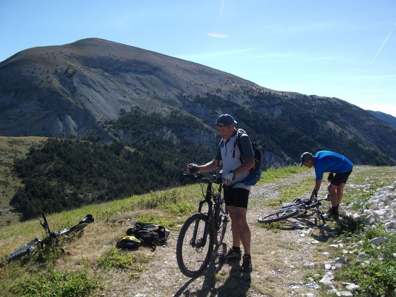 petit_cordoeil_antenne_25.jpg