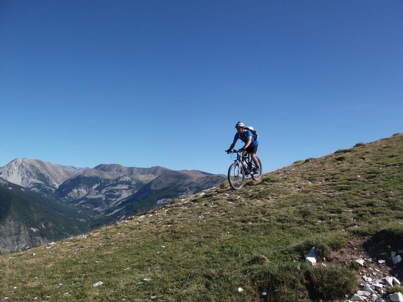 petit_cordoeil_antenne_35.jpg