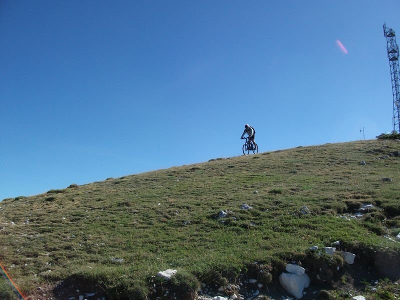 petit_cordoeil_antenne_36.jpg
