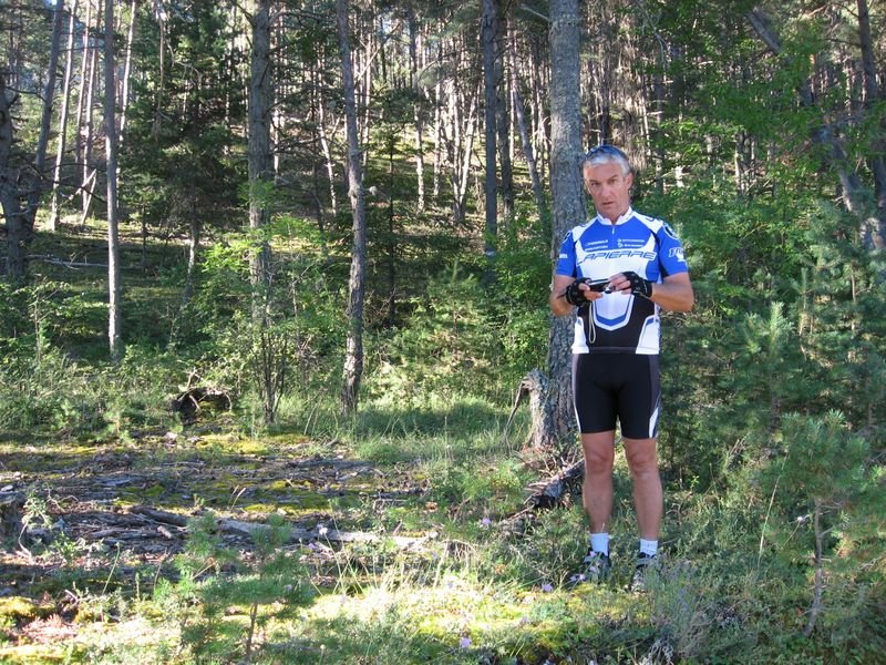 petit_cordoeil_antenne_41.jpg