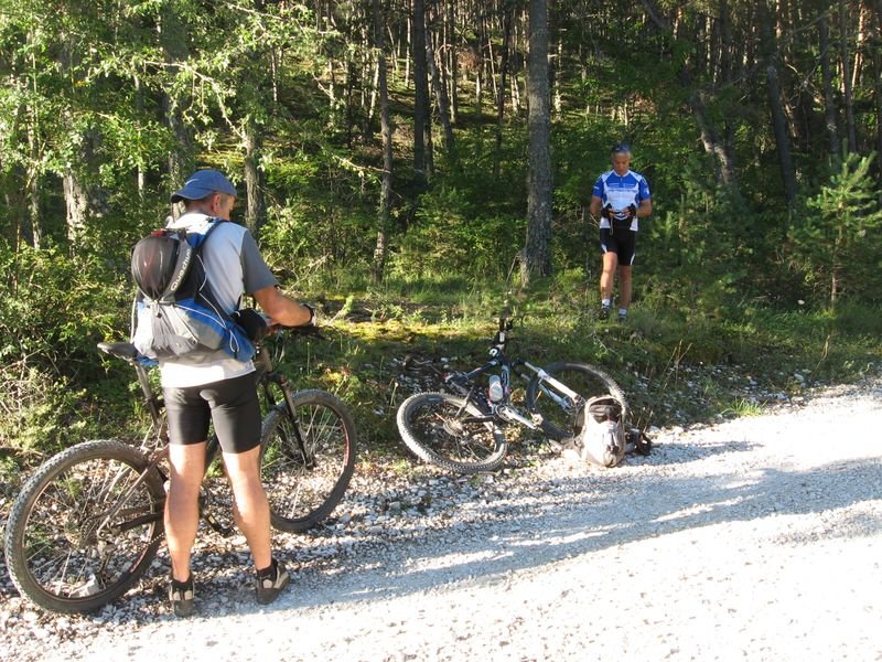 petit_cordoeil_antenne_43.jpg