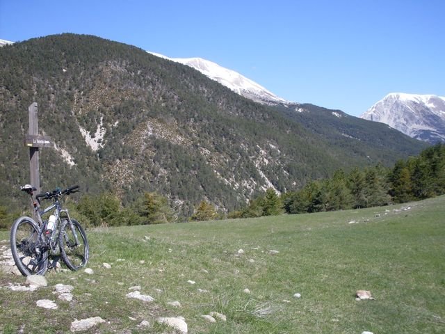 piegut_28.jpg