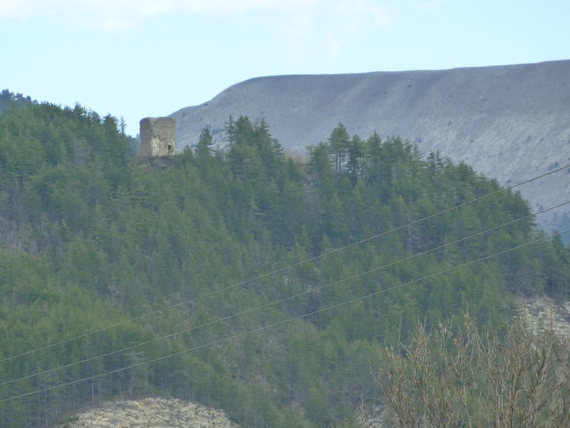 piegut_avril_2011_23.jpg