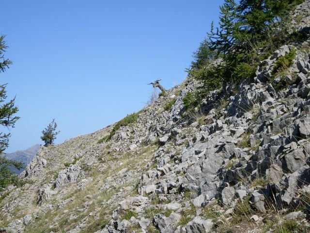 pisse_en_l_air_36.jpg