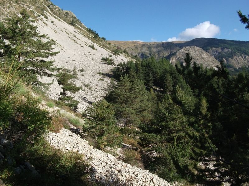 plaine_des_jassauds_23.jpg