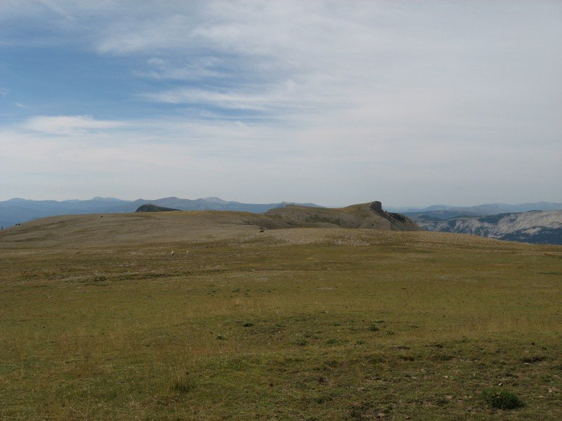 plan_des_mouches_07.jpg