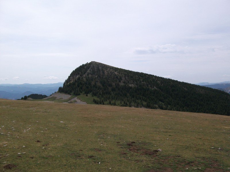 plan_des_mouches_53.jpg