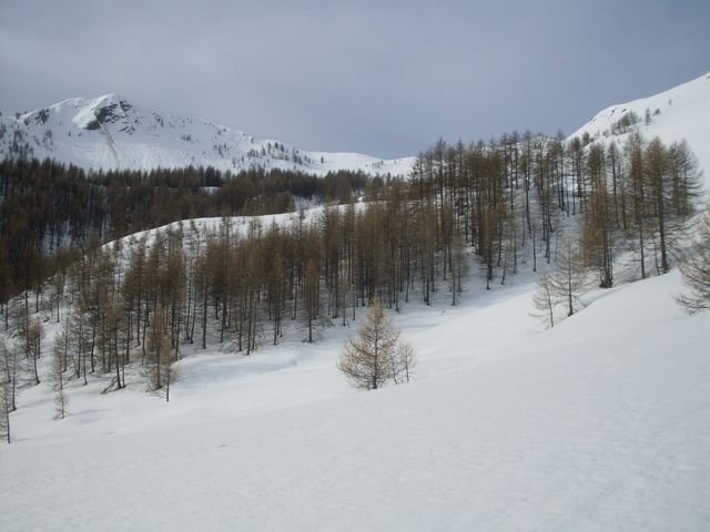 pra_bertrand_06.jpg