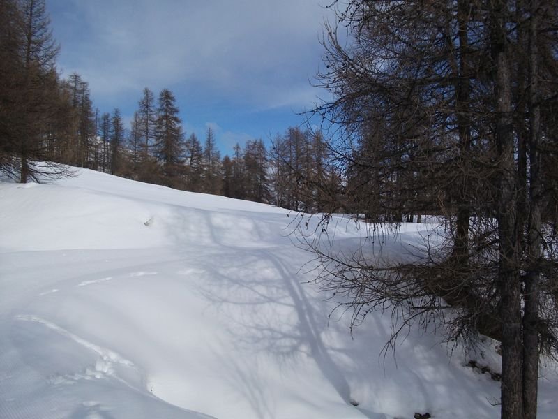 pra_bertrand_fev_2011_06.jpg