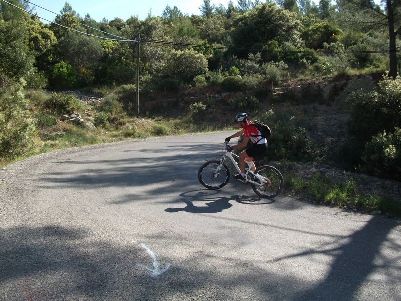reganas_2011_13_1.jpg