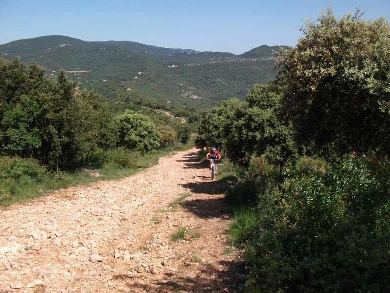 reganas_2011_22_1.jpg