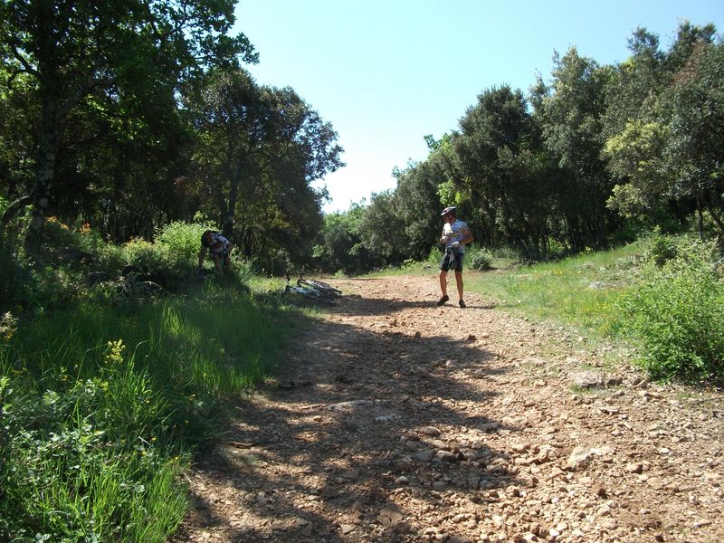 reganas_2011_23_1.jpg
