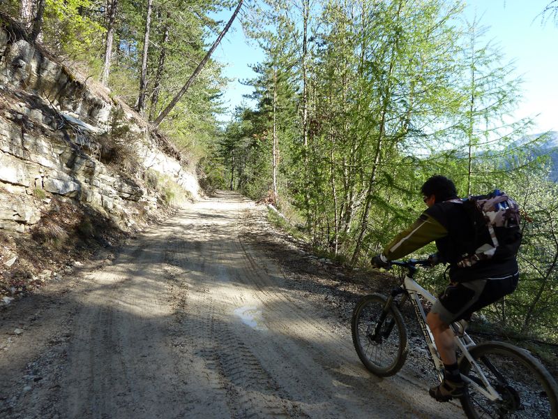 reyniere_avril_2011_07.jpg