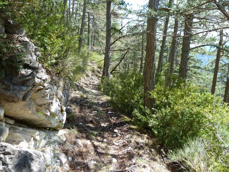 reyniere_avril_2011_32.jpg