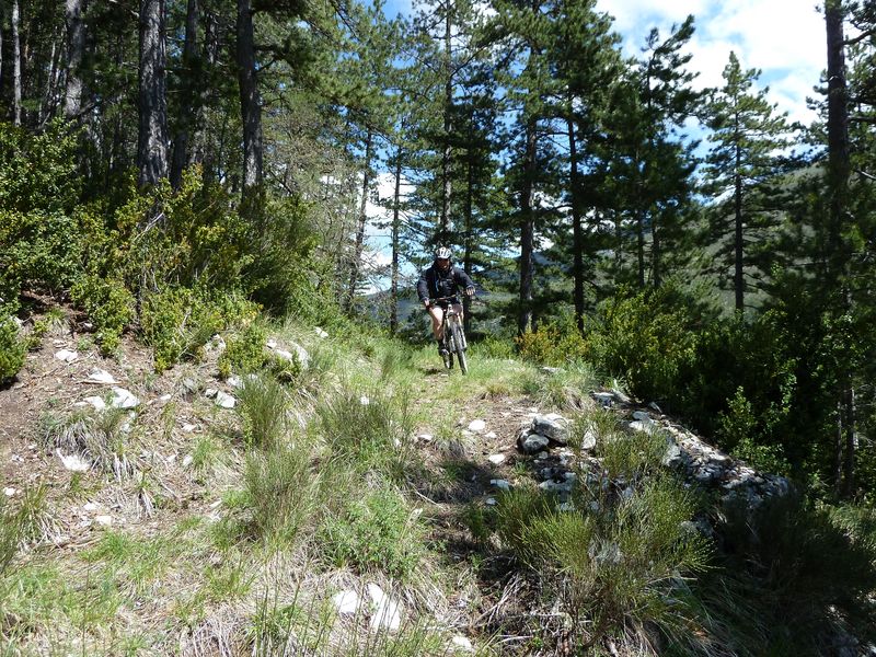 reyniere_avril_2011_49.jpg
