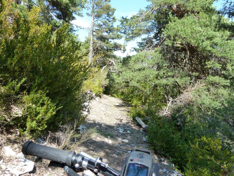 sentier_du_villard_2011_11.jpg