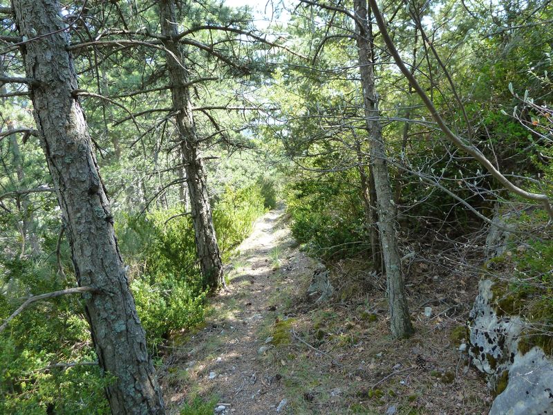 sentier_du_villard_2011_17.jpg