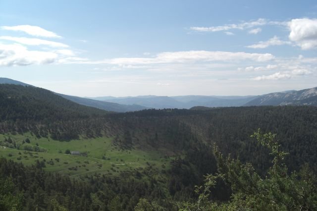 seree_carlet_17.jpg