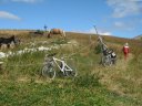 cabane_vieille_50.jpg