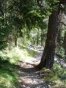 cabanes_du_puy_16.jpg