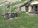 cheval_blanc_12.jpg