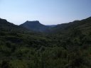 chiran__13_07_2010_12.jpg