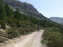 chiran__13_07_2010_23.jpg