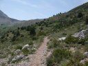 chiran__13_07_2010_31.jpg