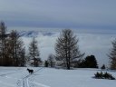 couradour_dec_2010_41.jpg