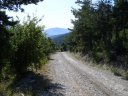 courchon_06.jpg