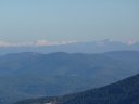 faron_03_12_10_002.jpg