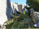 faron_03_12_10_006.jpg