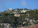 faron_24_11_2010_001.jpg