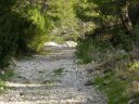 faron_24_11_2010_010.jpg