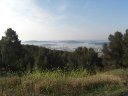 faron_classique_08.jpg