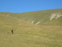 gros_tapy_chasse_28.jpg