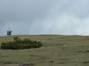 maurel_avril_2011_21.jpg